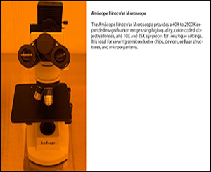 AmScope Binocular Microscope